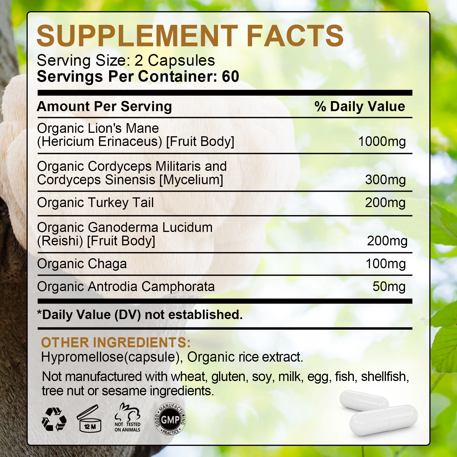 Lion's Mane Mushroom Capsules - Image 2