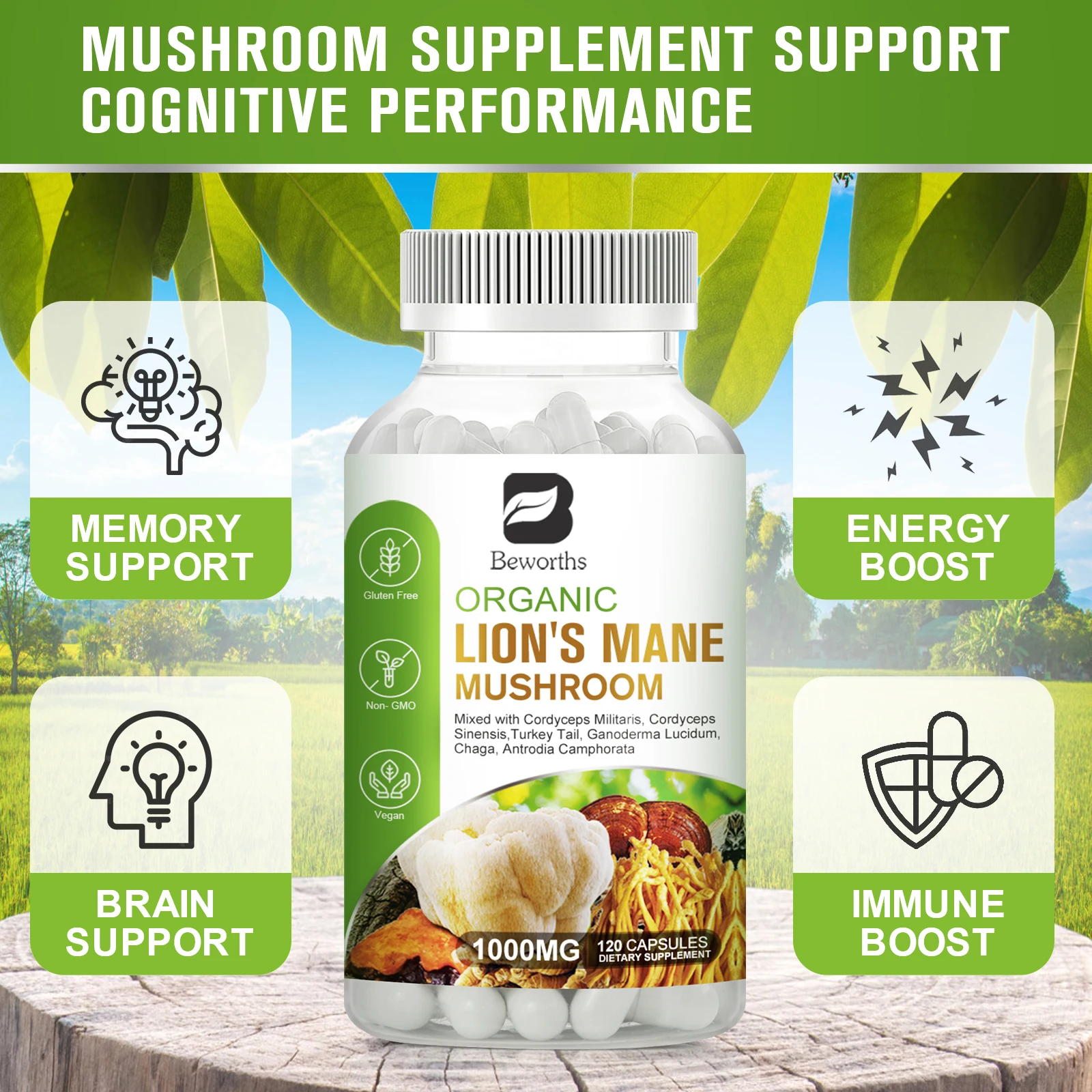 Lion's Mane Mushroom Capsules - Image 6