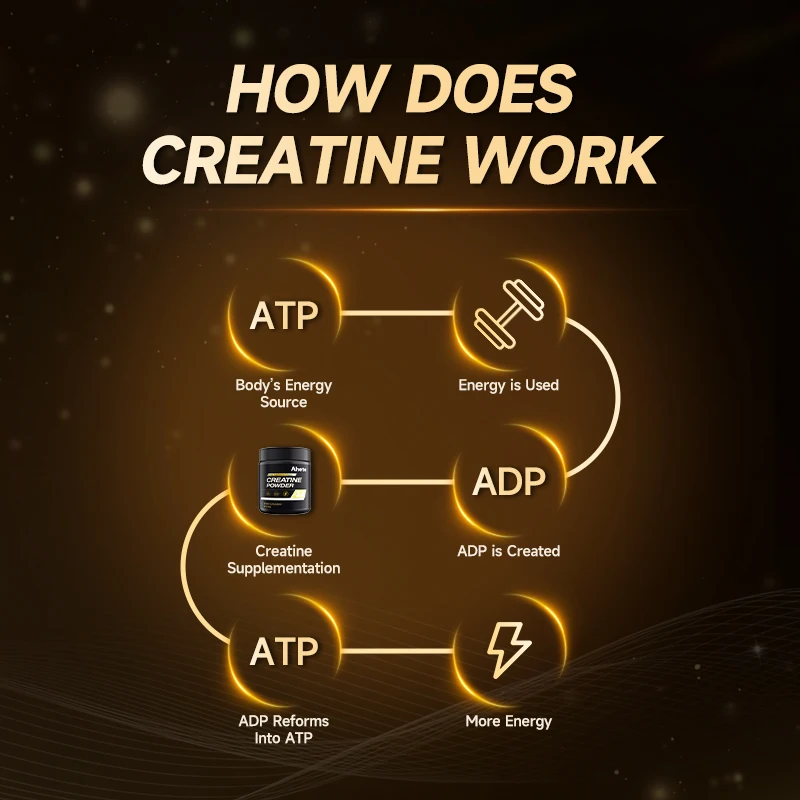 Creatine Monohydrate Powder - Image 3